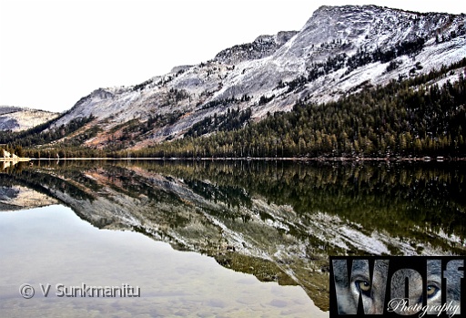 Reflections Yosemite 007 Copyright Villayat Sunkmanitu.jpg